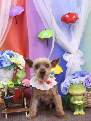 20230616小太郎くん